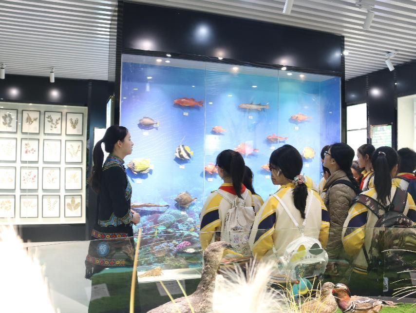 必赢3003no1线路检测中心