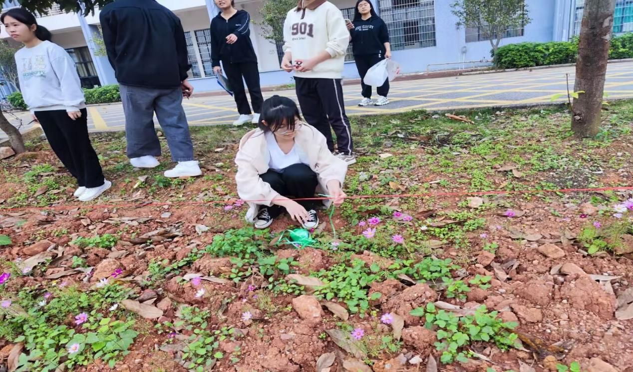 必赢3003no1线路检测中心