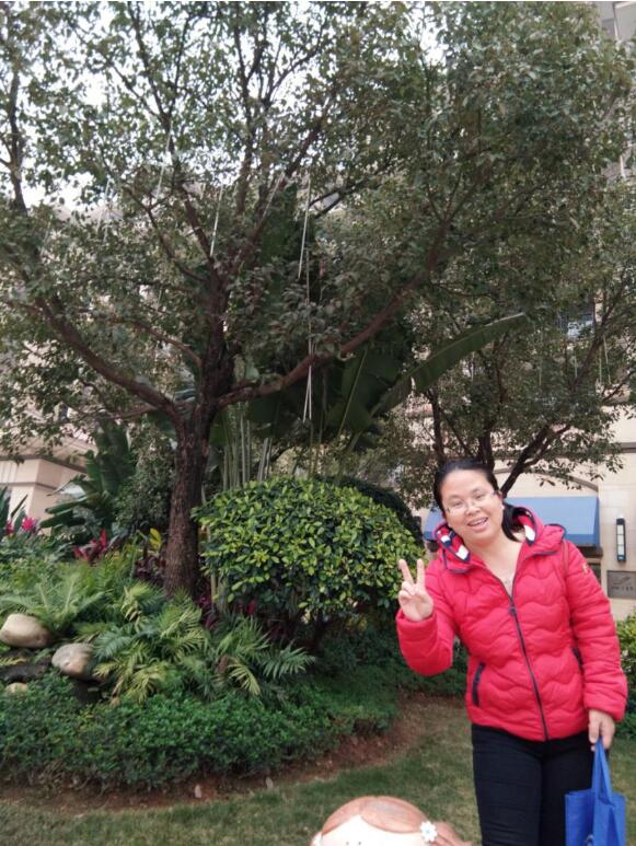 必赢3003no1线路检测中心