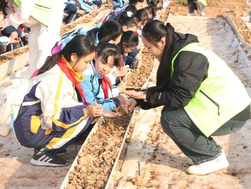 必赢3003no1线路检测中心